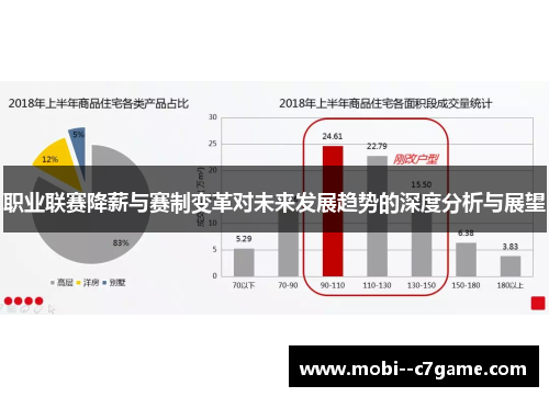 职业联赛降薪与赛制变革对未来发展趋势的深度分析与展望