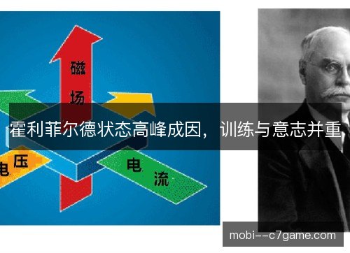 霍利菲尔德状态高峰成因，训练与意志并重